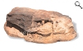 Abbildung des Felsen ROCK-008